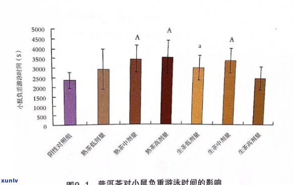 探索普洱茶对提升身体代谢率的科学影响