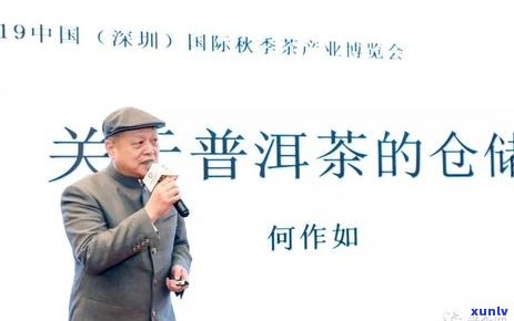 普洱茶促进新陈代谢：揭秘其背后的科学与功效