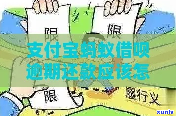 支付宝协商还款如何处理