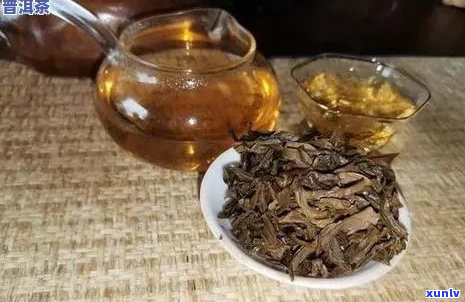 探索云南普洱茶的魅力：十大经典及其特点一览