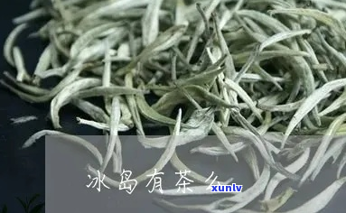 冰岛茶是哪个地方生产的茶