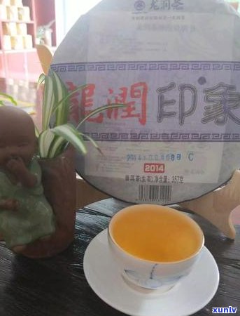 老年人适应喝普洱茶吗