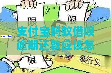 借呗还款逾期后怎么办如何解决