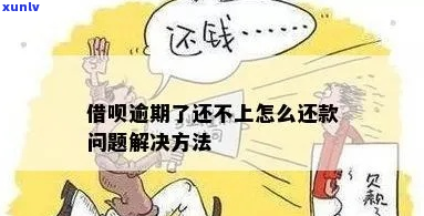 借呗还款逾期后怎么办如何解决