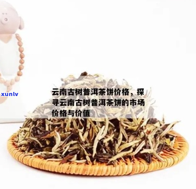 云南古树普洱茶价格查询：一斤多少钱？