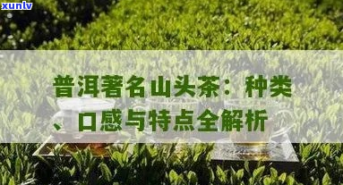 五种山头普洱茶的名称及其特点解析