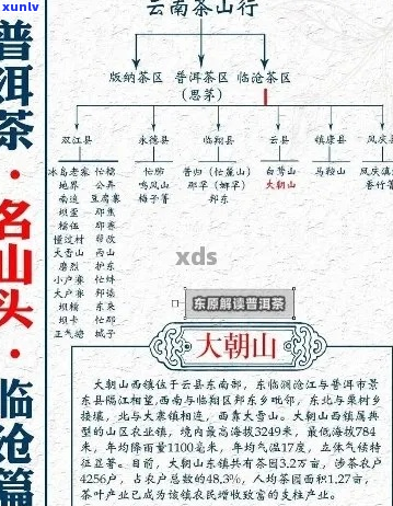 五种山头普洱茶的名称及其特点解析