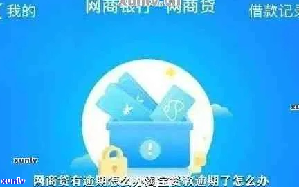 网商贷欠款157万如何处理