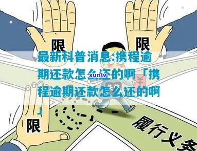 携程信用贷逾期多久算