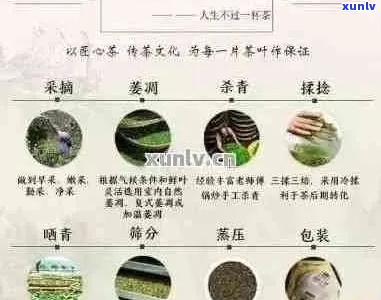 普洱香韵价格一览：如何以实的价格获得高品质的普洱茶？