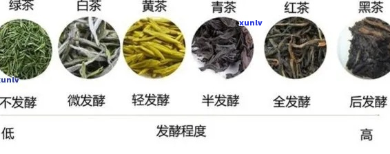 红茶茶颜色变化之谜：揭秘久置后变黑的秘密