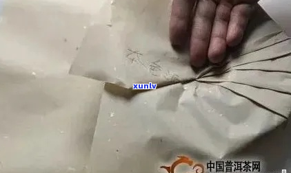 揭秘普洱茶中的纸味现象——如何识别并去除它？