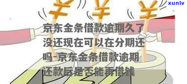 京东金融借款逾期半年了怎么办