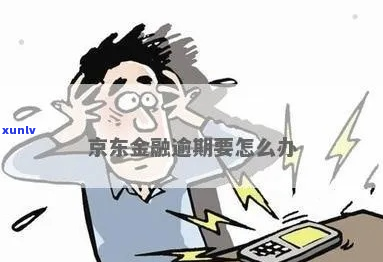 京东金融借款逾期半年了怎么办