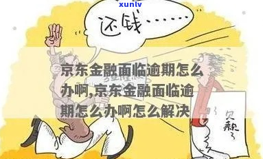 京东金融借款逾期半年了怎么办