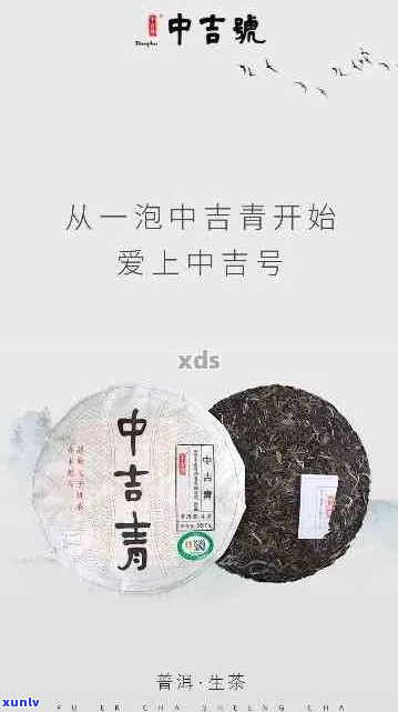 中吉号普洱茶涨价害