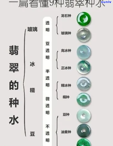 全球优质翡翠资源：翡翠的深度解析及其鉴别指南