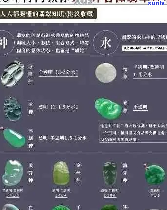 全球优质翡翠资源：翡翠的深度解析及其鉴别指南