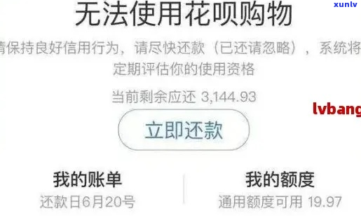 欠花呗7千多会被起诉吗