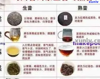 普洱茶冲泡流程今讲解