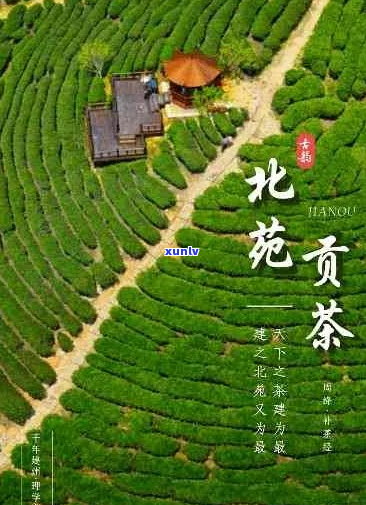 《北苑贡茶又称代名茶，消费人群定位及产地解析》