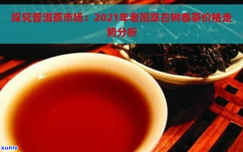 2021年普洱茶春茶价格走势与市场分析