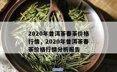 2020年普洱春茶价格表