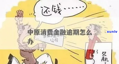 美团中原消费金融逾期一天会怎样