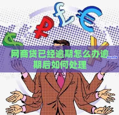 网商贷逾期后如何保持经营