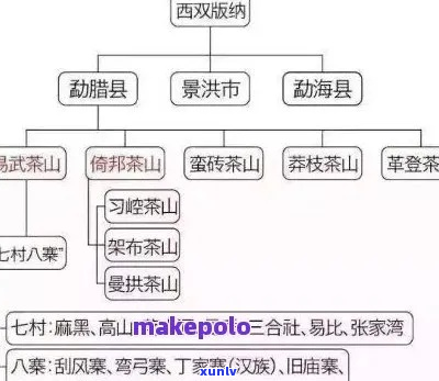 探索普洱茶的多样性：盘点全球普洱茶库中的多种茶类