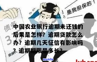 农业银行贷款逾期两个月后果严重吗