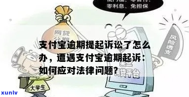 支付宝逾期起诉期限怎么办