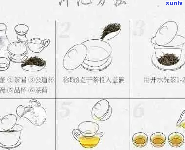 普洱茶的泡茶艺术：步骤与技巧