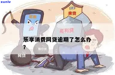 乐享消费网贷逾期了怎么办