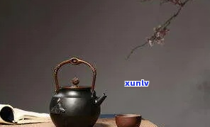 铁壶煮茶普洱茶的时间是多久？