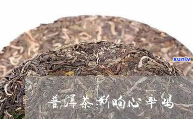 普洱茶对心率的影响分析