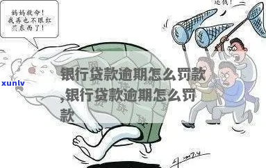 银行借款逾期会怎么样处罚