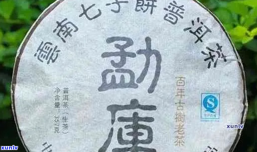 普洱七子饼茶价格与信息一站式查询平台