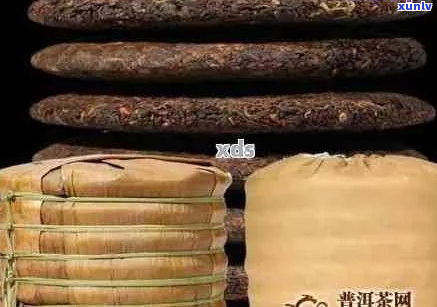 全面解决普洱茶存难题：专业存茶袋指南