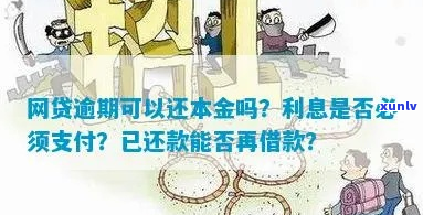 钱站借款逾期一年还本金需要支付多少利息