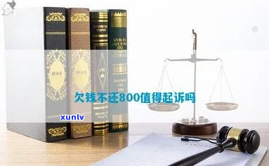 花呗欠800元会起诉吗