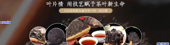 厂家供应普洱茶怎么样啊多少钱？寻找普洱茶供应商，普洱茶代工生产厂家。