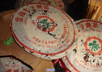 探索普洱茶厂家供应价格，了解品质与价值 | 普洱茶价格及质量指南