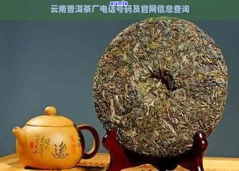 厂家供应普洱茶怎么样啊