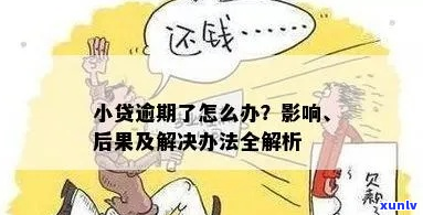  *** 平台逾期会怎么处理