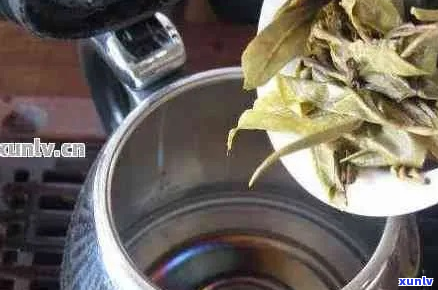 普洱茶煮过再风干好吗怎么泡好喝