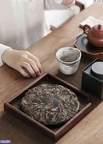 '普洱茶盘价格指南：分茶盘的使用 *** '