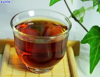 探索普洱茶的回之谜：哪里的茶水能带来最自然的清香与甜味？