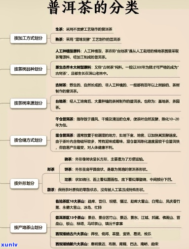 清香四溢的普洱茶教学反思与大班活动设计