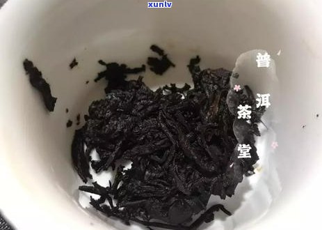 普洱茶保存与饮用指南：如何正确处理并长其风味及健效益